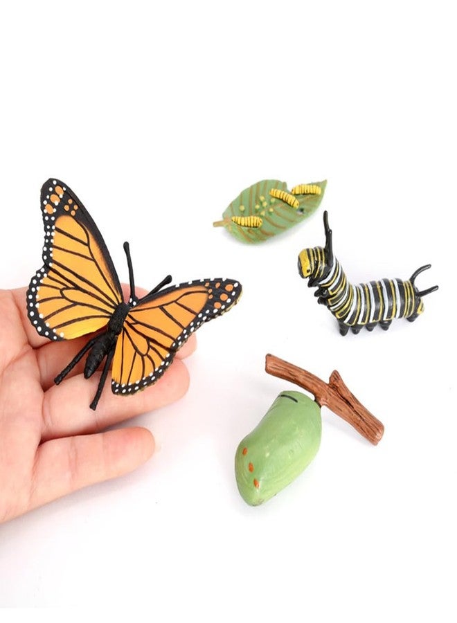 Hvogvok Butterfly Growth Cycle, Animal Growth Cycle Biological Model, Growth Stage Lifelike Butterfly Life Cycle Model Set for Kids Education Insect Themed Party Favors - Image 4
